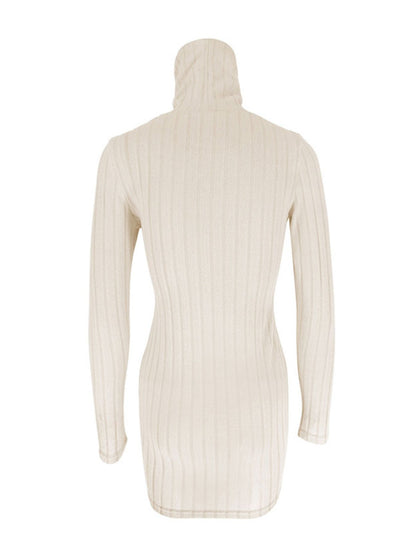 Turtleneck Ribbed Bodycon Mini Dress