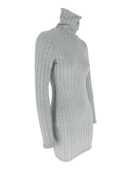 Turtleneck Ribbed Bodycon Mini Dress