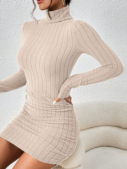 Turtleneck Ribbed Bodycon Mini Dress