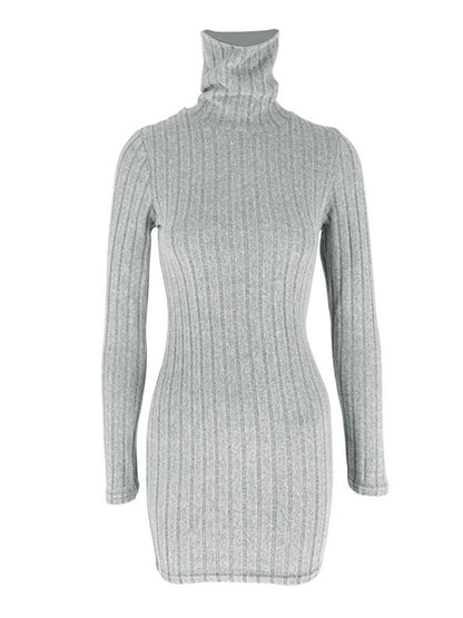 Turtleneck Ribbed Bodycon Mini Dress